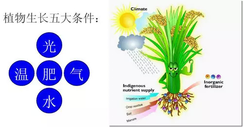 微妙军团农业知识大全