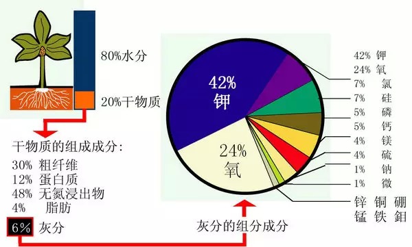 微妙军团农业知识大全