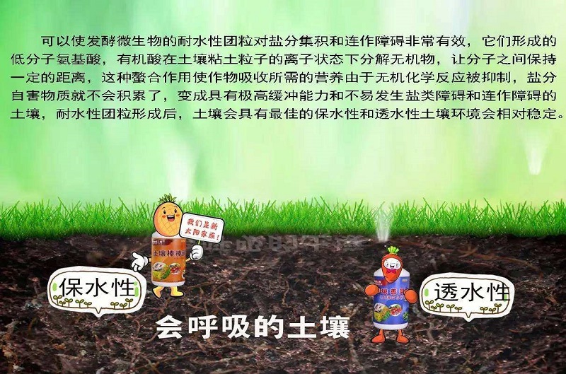 自然农法实践：维持土壤健康与生态保护