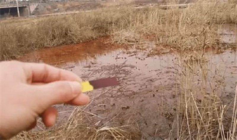 “病土”，复合益生菌来帮你