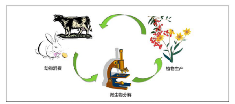 这样做堆肥，效果才最好