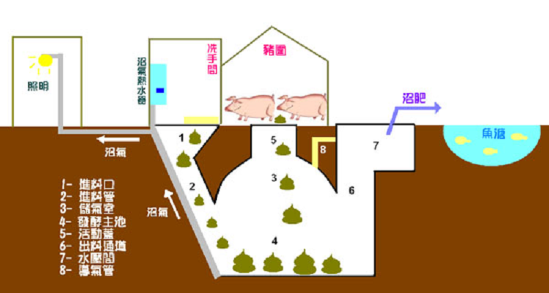 沼气废渣发酵生物有机肥