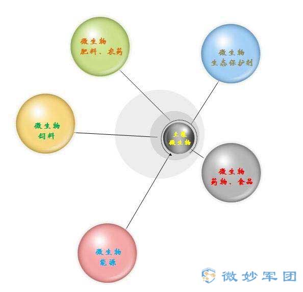 让微生物吃掉土壤中的脏东西！开始吞噬吧！