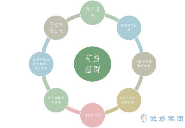 让微生物吃掉土壤中的脏东西！开始吞噬吧！