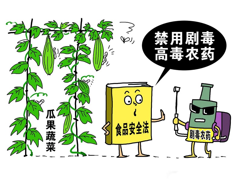 【自然农法】必须知道的九个简单问题！