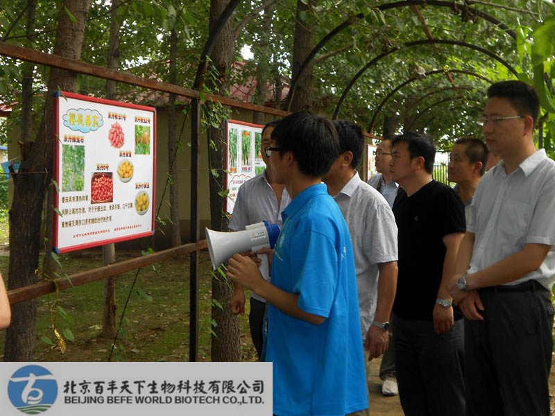 中国农村教育发展中心相关领导莅临百丰农场指导考察