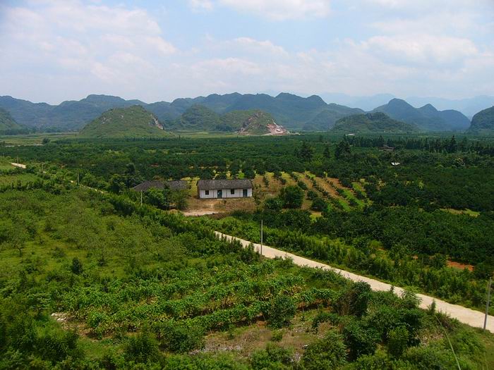 山东菏泽新生态农场一场伟大变革