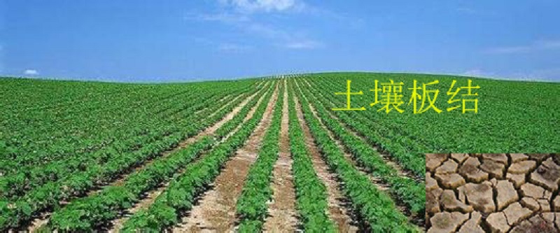 偷偷看这里有堪称经典的玉米秸秆有机肥制作