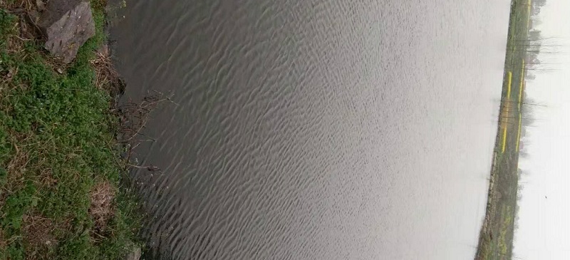湖北荆门一场起死回生的养鱼记