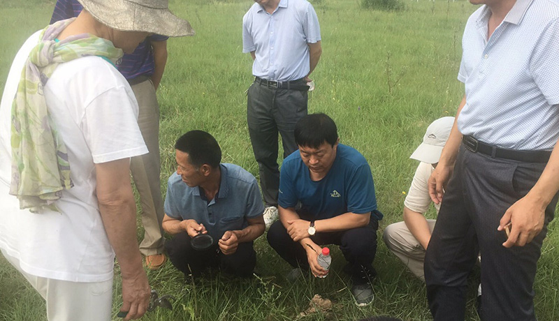 洋沙棘爱上中国微生物的故事